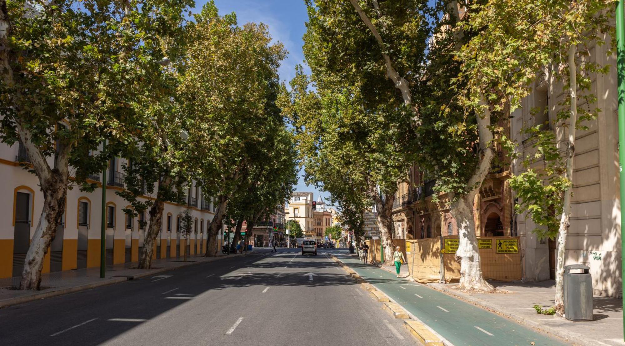 Charming 2 Bedroom Apartment At Sevilla City Center By Ocityzen Eksteriør billede